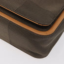 LOUIS VUITTON Damier Geant Messager Shoulder Bag Tail M93030 LV Auth 168478-14
