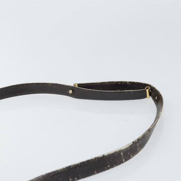 Christian Dior Trotter Canvas Shoulder Bag Brown Gold Auth 168939