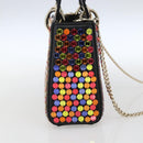Christian Dior Chain Lady Dior Bag Leather 2way Multicolor Gold Auth 169657SM-4