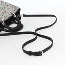 Christian Dior Sequin Lady Dior Hand Bag Leather 2way Black Silver Auth 169660SM-8