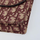 Christian Dior Trotter Canvas Saddle Chain Shoulder Bag Red Gold Auth 170648-8