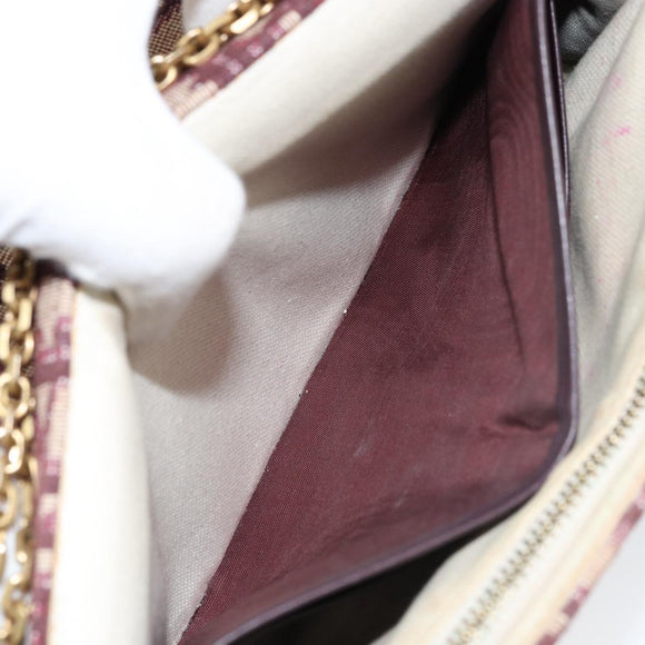 Christian Dior Trotter Canvas Saddle Chain Shoulder Bag Red Gold Auth 170648