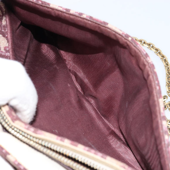Christian Dior Trotter Canvas Saddle Chain Shoulder Bag Red Gold Auth 170648
