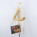 LOUIS VUITTON Celty Pochette Plat Pouch Koons Rubens M64617 LV Auth 170658SAM-27