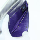 FENDI Chain Wallet Shoulder Bag Leather Silver Auth 170855V-10