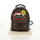 LOUIS VUITTON Monogram World Tour Palm Springs Shoulder Bag M42971 Auth 171014V-12