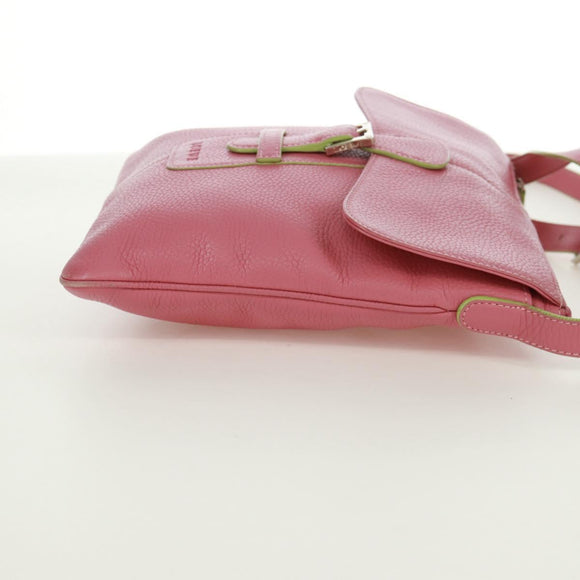 LOEWE Shoulder Bag Leather Pink Silver Auth 171064V