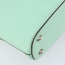 CELINE Circle Hand Bag Leather Green Silver Auth 171568-13