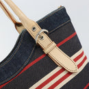 BURBERRY Nova Check Hand Bag Canvas Navy Silver Auth 171626-10