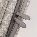 CELINE Sulky Mothers Bag PVC Ai Tominaga Collaboration Gray Silver Auth 171635-22