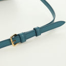 CELINE Triomphe Shoulder Bag Leather Blue Gold Auth 171873M-9