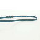 CELINE Triomphe Shoulder Bag Leather Blue Gold Auth 171873M-10