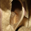 GUCCI Bamboo Backpack Suede Brown Gold 003 2852 0030 0 Auth 172054-25