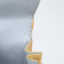 LOUIS VUITTON Monogram Vernis Spring street Hand Bag Gris M91029 LV Auth 172351-10
