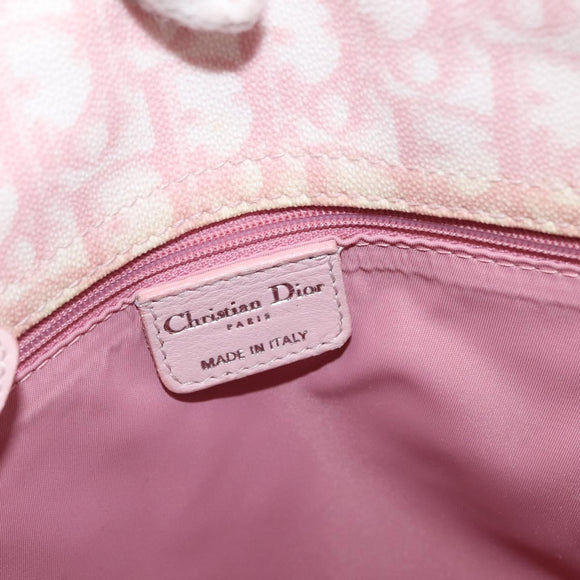 Christian Dior Trotter Canvas Chain Romantic Bag PVC Pink Silver Auth 172531