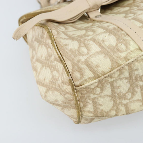 Christian Dior Trotter Canvas Chain Hand Bag PVC Beige Silver Auth 172988