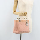 Christian Dior Lady Dior Hand Bag Nylon Pink Silver Auth 173001-24