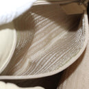 PRADA Shoulder Bag Leather plastic Ivory Clear Auth 173573-22