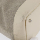 LOEWE Hand Bag Canvas Beige Silver Auth 173814-9
