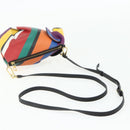 LOEWE Elephant Shoulder Bag Leather Multicolor Gold Auth 175965A-7