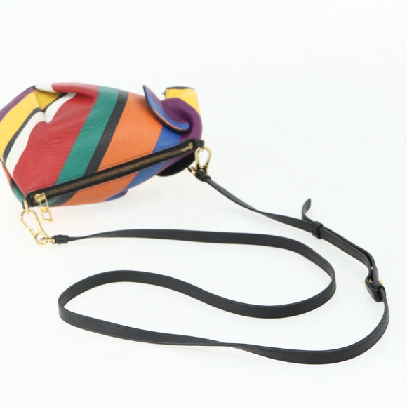 LOEWE Elephant Shoulder Bag Leather Multicolor Gold Auth 175965A