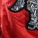 Christian Dior Bomber jacket Shawn Stussy Collaboration Nylon Red Auth 175991SM-12