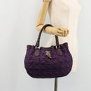 Christian Dior Canage Hand Bag Nylon Purple Silver Auth 176132-23