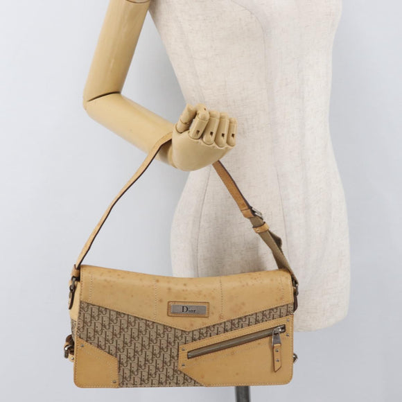 Christian Dior Trotter Canvas Street Chic Umhängetasche Beige Silber Auth 176137A