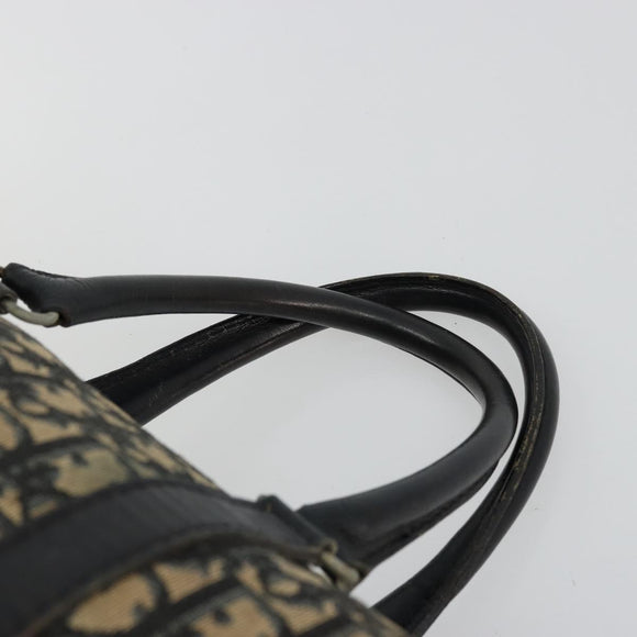 Christian Dior Trotter Canvas Hand Bag Navy Silver Auth 176139