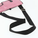 Miu Miu Shoulder Bag Leather Pink Silver Auth 176688A-7