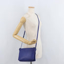 CELINE Trio Shoulder Bag Leather Blue Gold Auth 177022-23