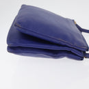 CELINE Trio Shoulder Bag Leather Blue Gold Auth 177022-3