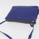 CELINE Trio Shoulder Bag Leather Blue Gold Auth 177022-6