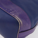 CELINE Shoulder Bag Leather Blue Silver Auth 177062-11