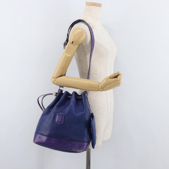 CELINE Shoulder Bag Leather Blue Silver Auth 177062