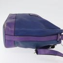 CELINE Shoulder Bag Leather Blue Silver Auth 177062-4