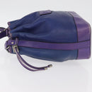 CELINE Shoulder Bag Leather Blue Silver Auth 177062-5