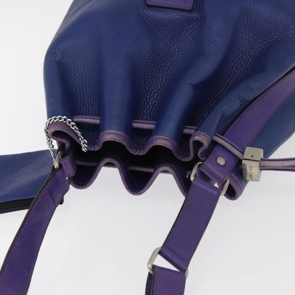CELINE Shoulder Bag Leather Blue Silver Auth 177062