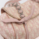 Christian Dior Trotter Canvas Chain Romantic Bag PVC Pink Silver Auth 177076-10