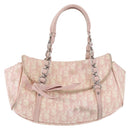Christian Dior Trotter Canvas Chain Romantic Bag PVC Pink Silver Auth 177076-13