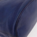 CELINE Chain Shoulder Bag Leather Blue Silver Auth 177125A-12
