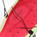 LOEWE Watermelon Tote Bag Raffia 2way Red Auth 177162SAV-11