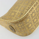 CELINE Shoulder Bag Suede Gold Auth 177291A-14