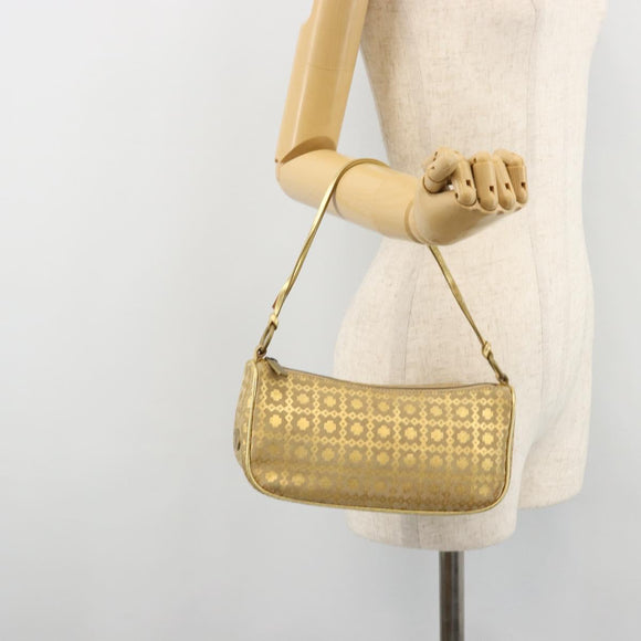 CELINE Shoulder Bag Suede Gold Auth 177291A