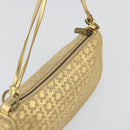 CELINE Shoulder Bag Suede Gold Auth 177291A-6