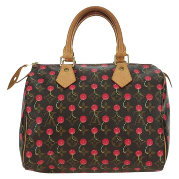 LOUIS VUITTON Monogram Cherry Speedy 25 Hand Bag M95009 LV Auth 177652SAV - 0