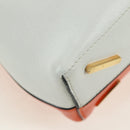 LOEWE Shoulder Bag Leather 2way White Gold Auth 177982SM-13