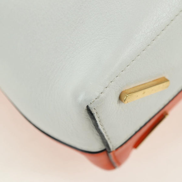 LOEWE Shoulder Bag Leather 2way White Gold Auth 177982SM