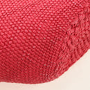 LOEWE Watermelon Tote Bag Raffia 2way Red Auth 178041SM-12