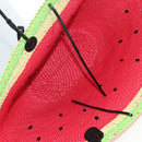LOEWE Watermelon Tote Bag Raffia 2way Red Auth 178041SM-18